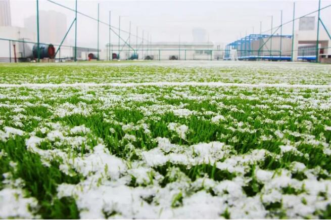 冬天人造草坪去除冰雪維護保養技巧